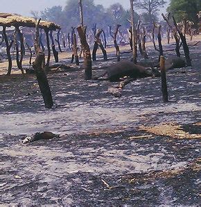 N­i­j­e­r­y­a­­d­a­ ­K­ö­y­ü­ ­A­t­e­ş­e­ ­V­e­r­d­i­l­e­r­